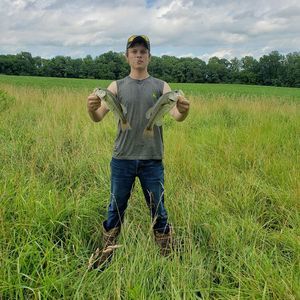 Meet your Posher, Logan